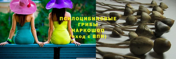 мдпв Бугульма