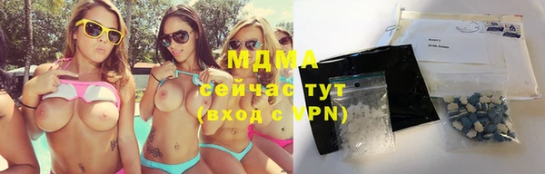 прущие грибы Богданович