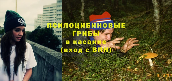 мдпв Ростов