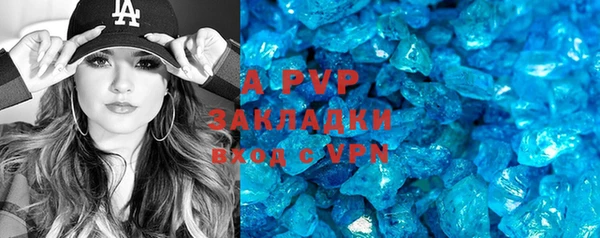 прущие грибы Богданович