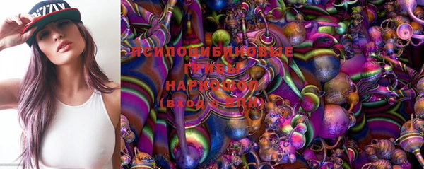 прущие грибы Богданович