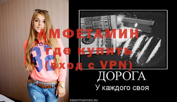 прущие грибы Богданович