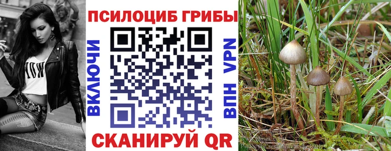 Псилоцибиновые грибы ЛСД  закладка  Кашира 